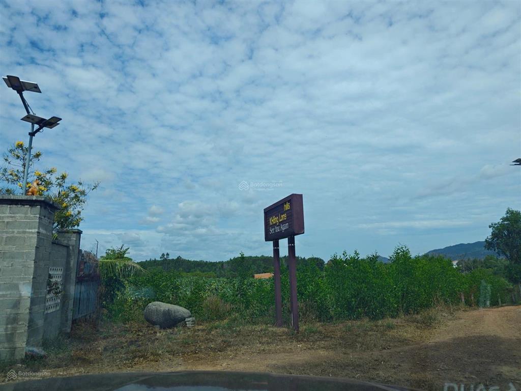 Farmstay đồi  view tthc hàm tân  30.000 m2  2 tỷ x