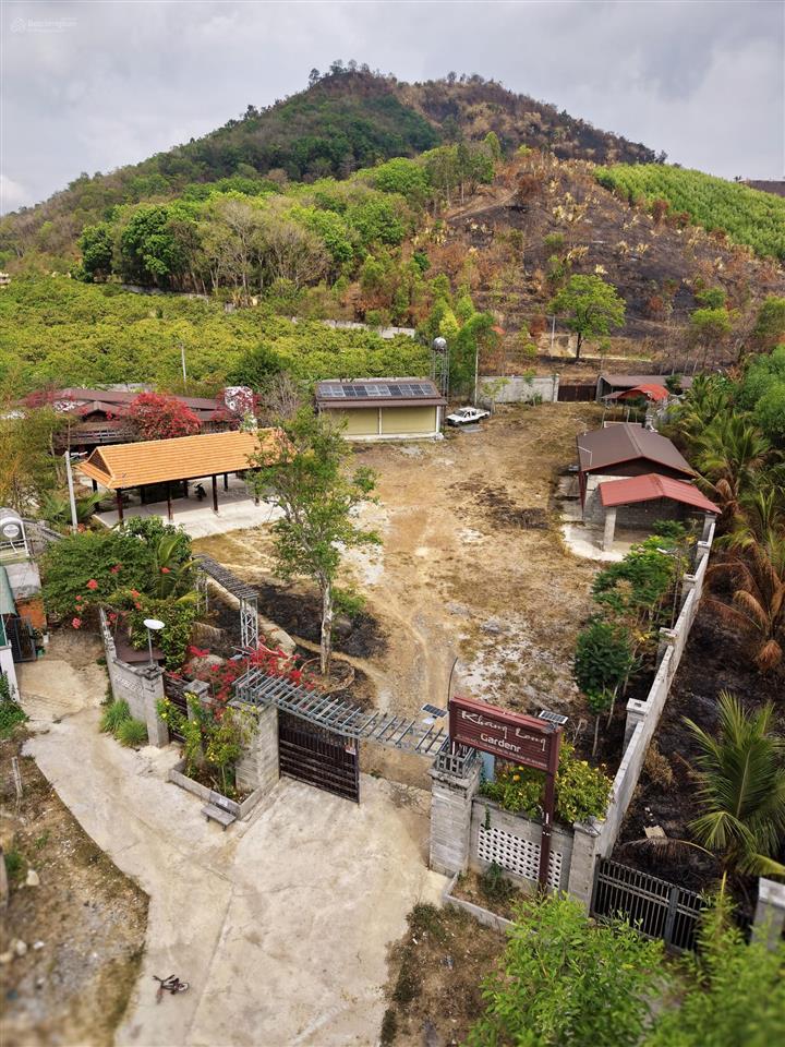 Farmstay đồi  view tthc hàm tân  30.000 m2  2 tỷ x