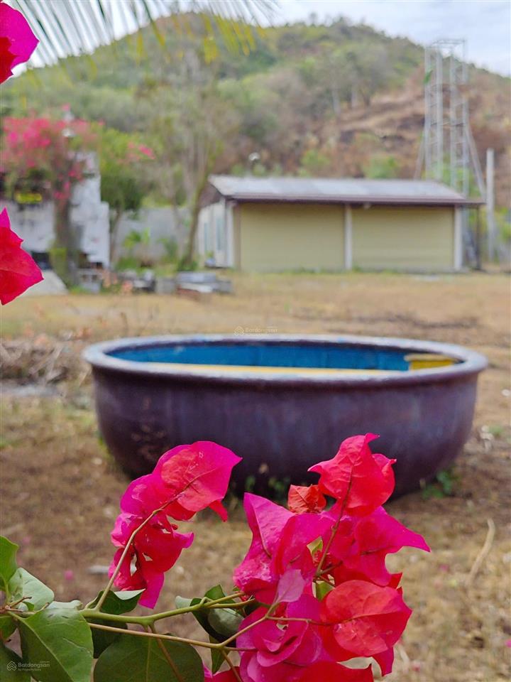 Farmstay đồi  view tthc hàm tân  30.000 m2  2 tỷ x