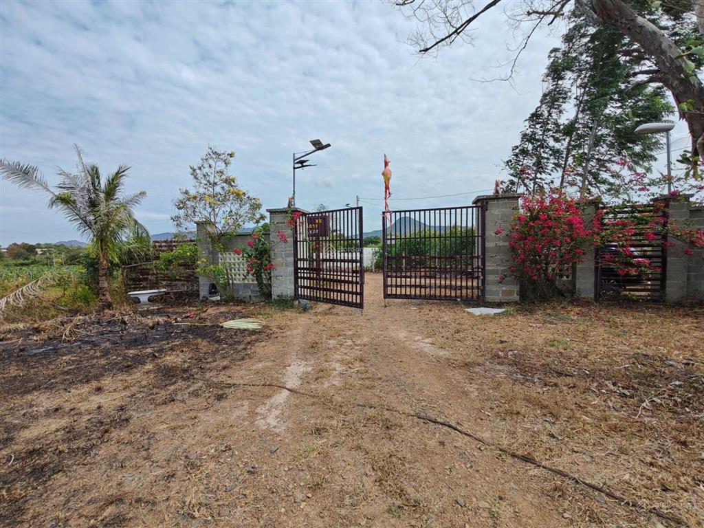 Farmstay đồi  view tthc hàm tân  30.000 m2  2 tỷ x