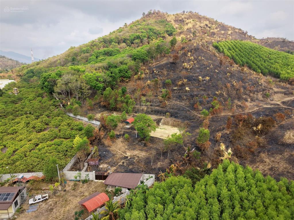 Farmstay đồi  view tthc hàm tân  30.000 m2  2 tỷ x