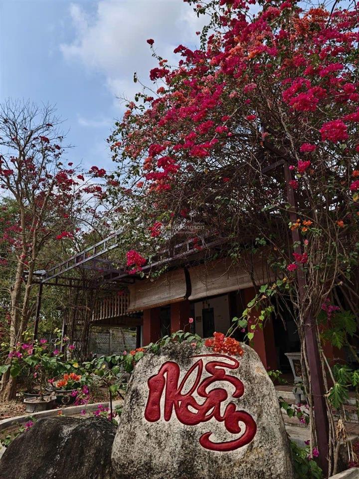 Farmstay đồi  view tthc hàm tân  30.000 m2  2 tỷ x
