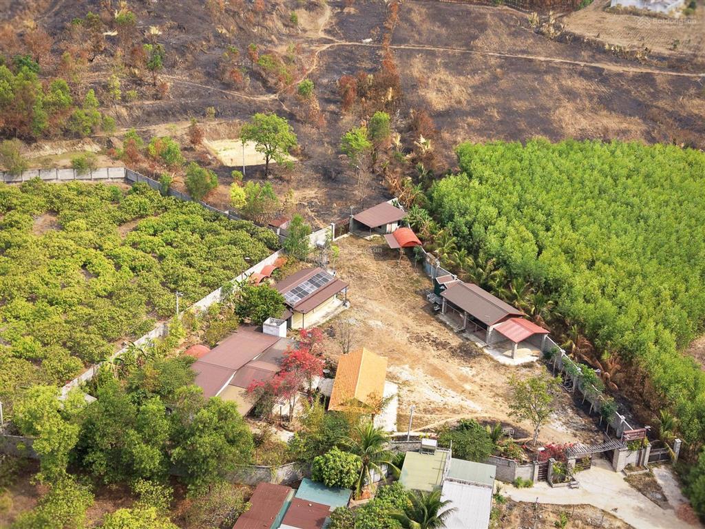 Farmstay đồi  view tthc hàm tân  30.000 m2  2 tỷ x