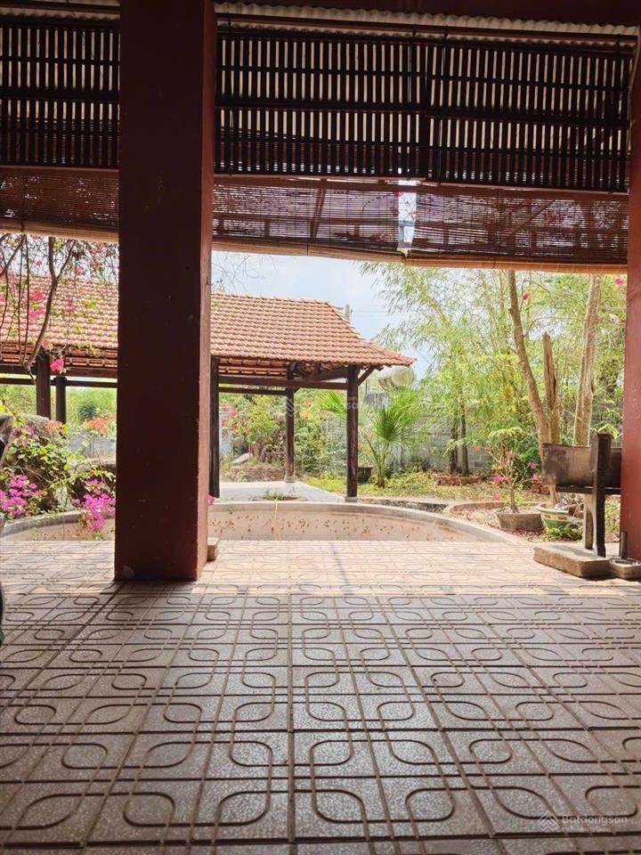 Farmstay đồi  view tthc hàm tân  30.000 m2  2 tỷ x