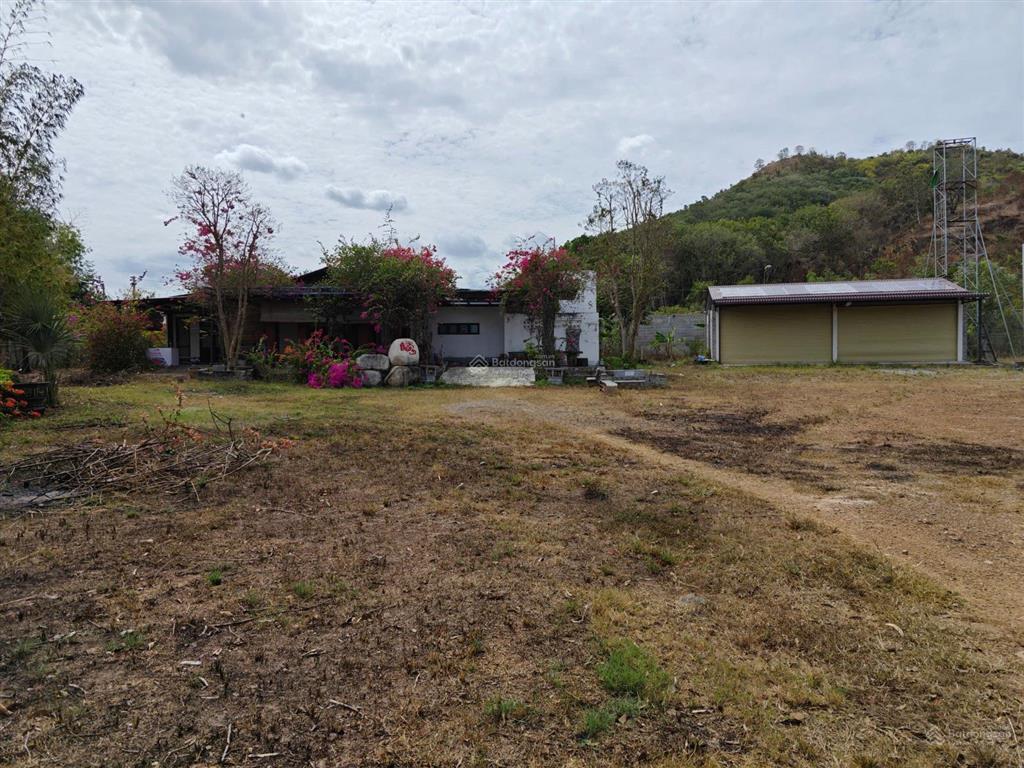 Farmstay đồi  view tthc hàm tân  30.000 m2  2 tỷ x