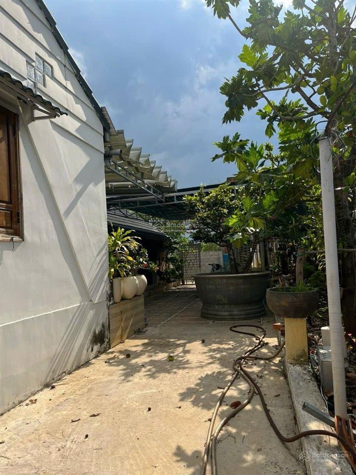 Homestay 1500m2 full thổ cư 17 tỷ, gần biển cam bình, cocobeach