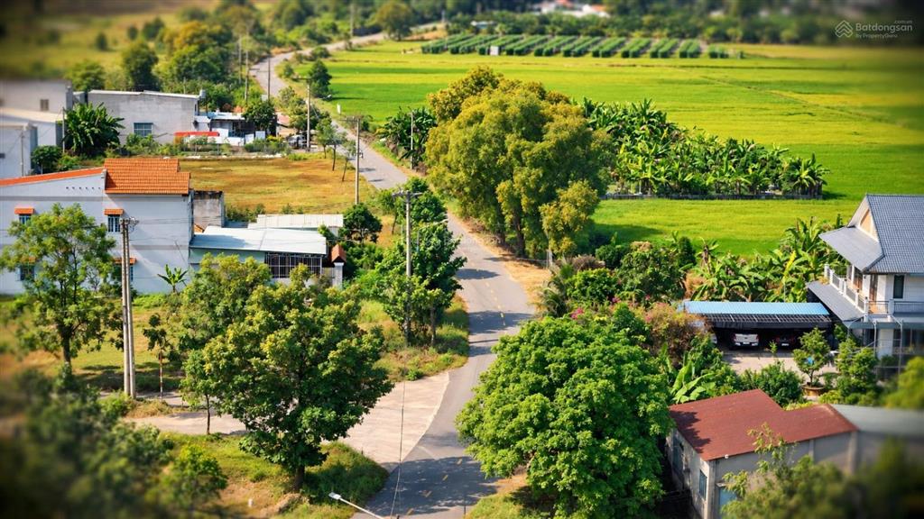 Bán 20.000 m2, full hồng đường nhựa ngay khu tđc bạch đằng, sân golf.