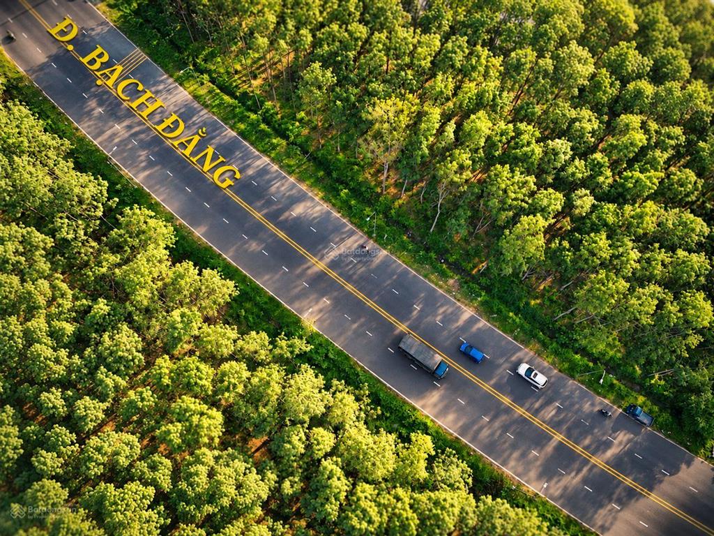 Bán 20.000 m2, full hồng đường nhựa ngay khu tđc bạch đằng, sân golf.