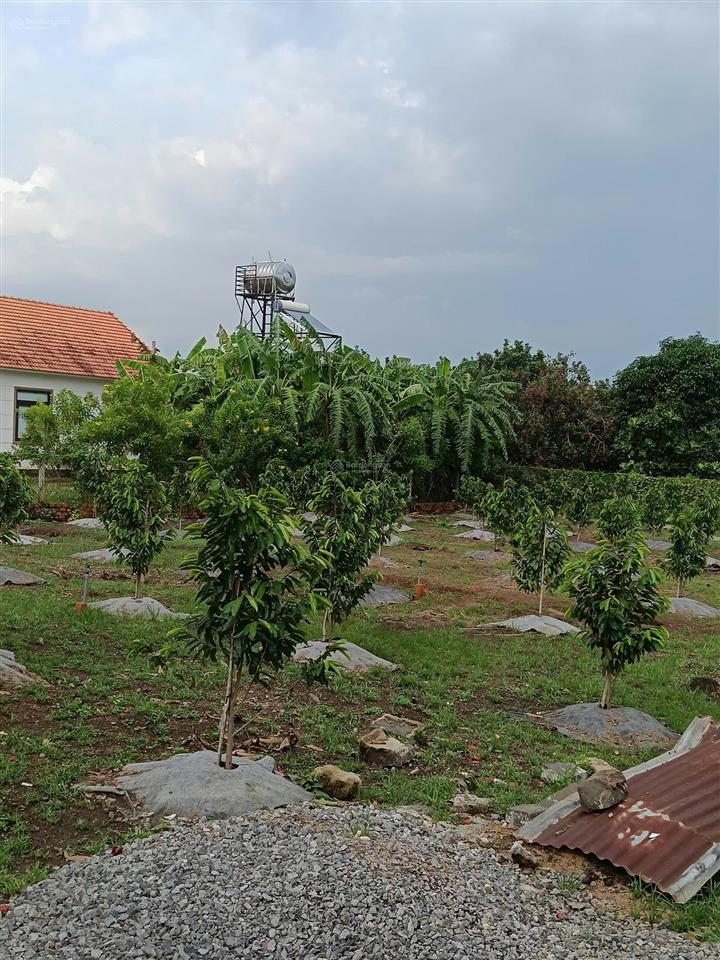 Bán 1800m2 đất vườn nghỉ dưỡng có nhà sẵn, có 300m2 thổ cư, cây ăn trái gần trung tâm long khánh