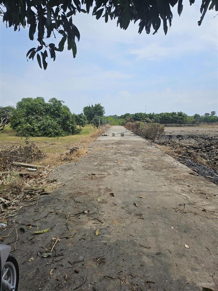 Bán gấp đất nền tại lý thái tổ, phú hữu, nhơn trạch, 20 tỷ, 1286 m2