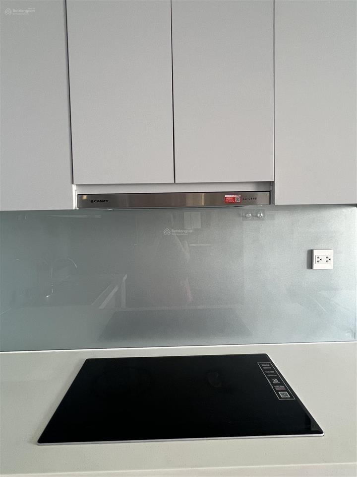 Cho thuê diamond lotus riverside 1pn 1wc 50m2 full nội thất  giá 12tr/tháng. 0917 343 ***