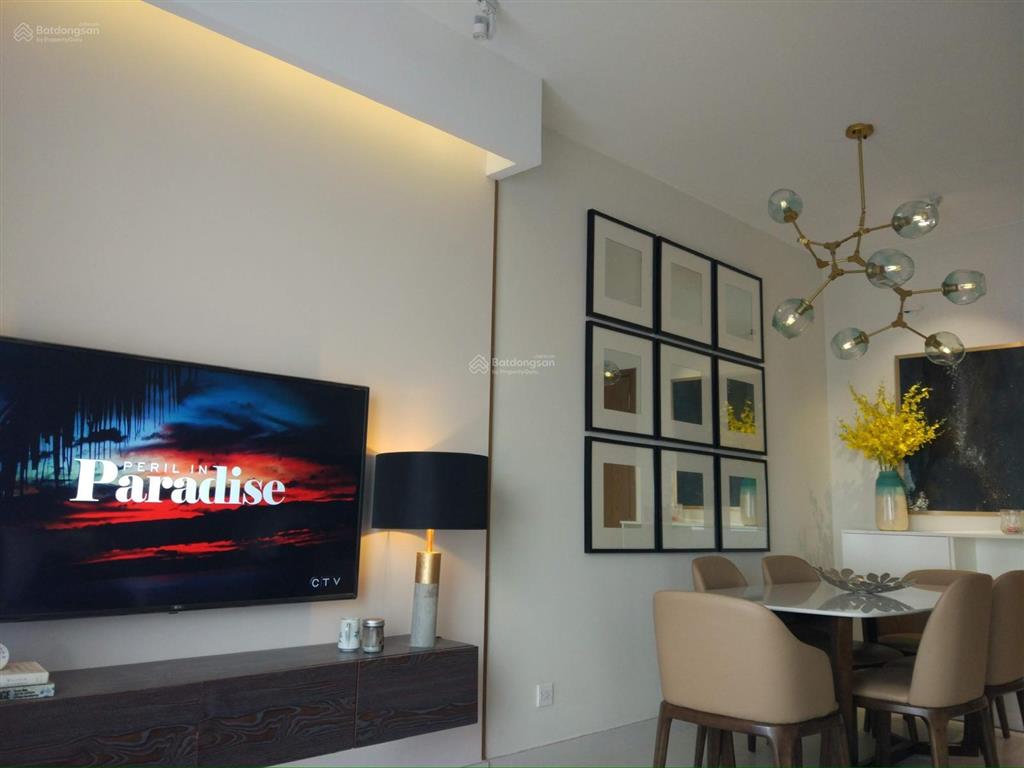 Cho thuê căn hộ diamond lotus riverside 3pn 2wc 91m2 giá 18tr/tháng.  0917 343 ***