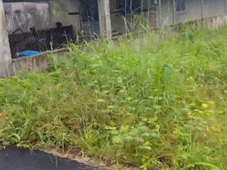 Bán lô đất sổ hồng thổ cư, dt 5,3 x 17.5m bàu cạn, long thành. nay xã long phước, đồng nai