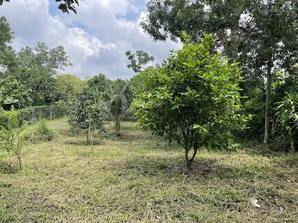 Bán đất tại sông nhạn, cẩm mỹ, đồng nai giá tốt, 1,9 tỷ, 1334.1m2