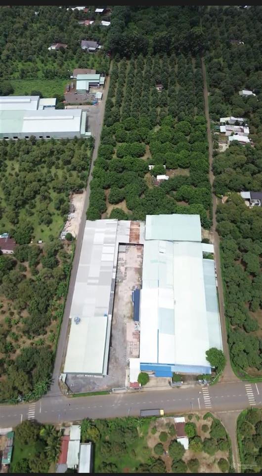 Bán đất đường lê hồng phong, giá 1,15 tỷ, diện tích 120m2, 5x24m