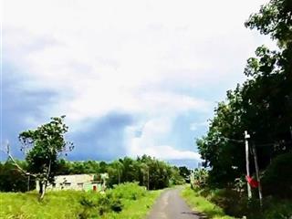 Bán gấp 5 xào có 400 thổ cư, ngang 63m mặt tiền đường nhựa cách ql13 vào 1km