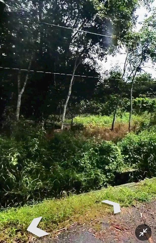 Bán gấp 5 sào đất có 63m mặt tiền đường nhựa 6m.
từ ql 13 vào tầm 1km