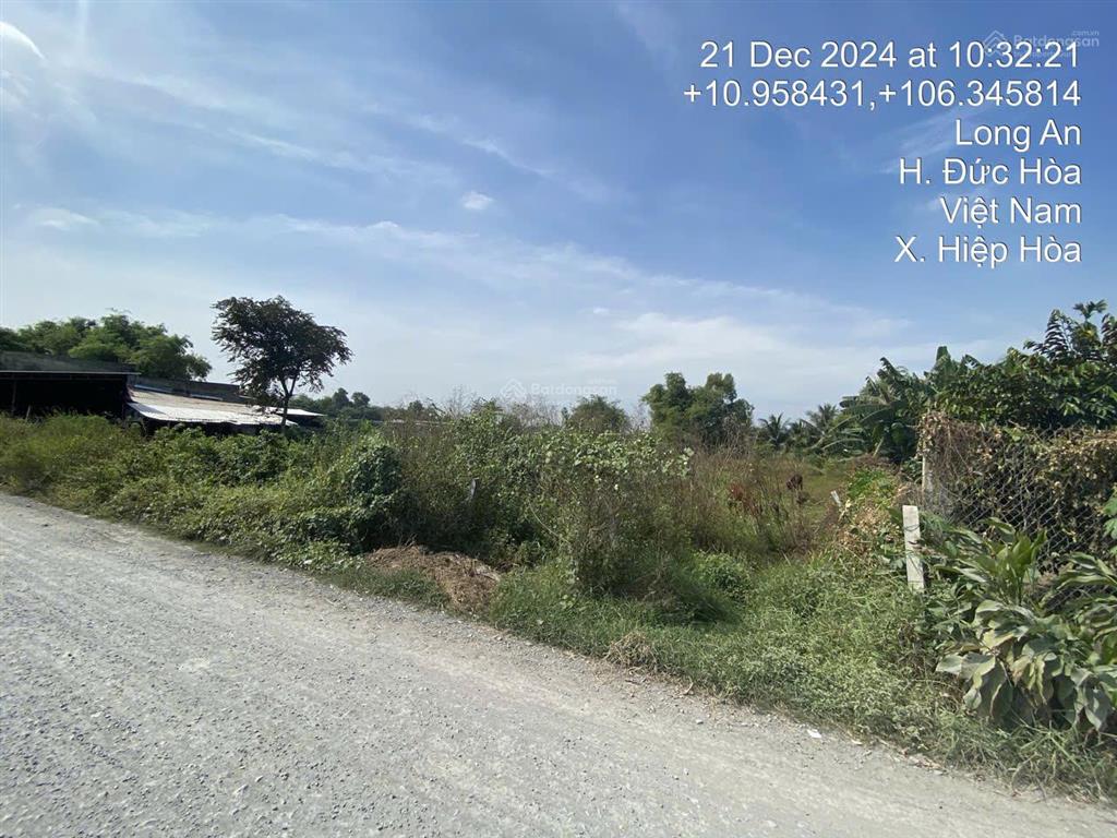 Ngân hàng thanh lý đất tại td873, xã hiệp hòa, huyện đức hòa, tỉnh long an  03265711