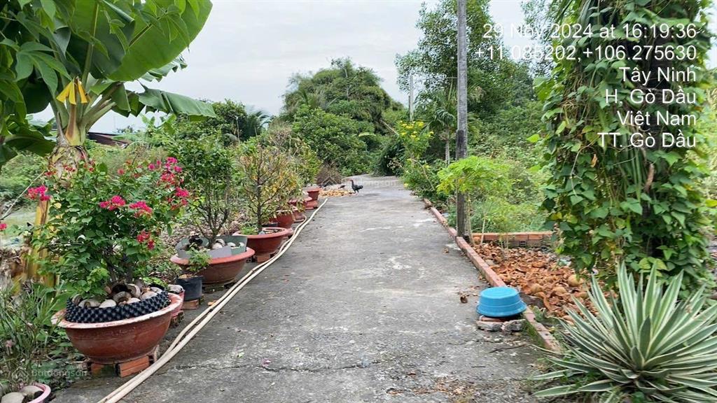 Ngân hàng thanh lý tài sản tại td596, địa chỉ ô 1 khu phố thanh bình a, gò dầu, tây ninh  03027806