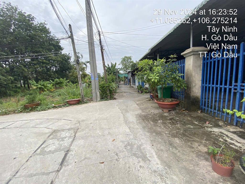 Ngân hàng thanh lý tài sản tại td596, địa chỉ ô 1 khu phố thanh bình a, gò dầu, tây ninh  03027806