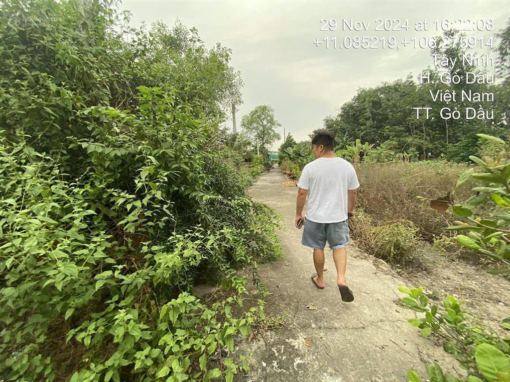 Ngân hàng thanh lý tài sản tại td596, địa chỉ ô 1 khu phố thanh bình a, gò dầu, tây ninh  03027806