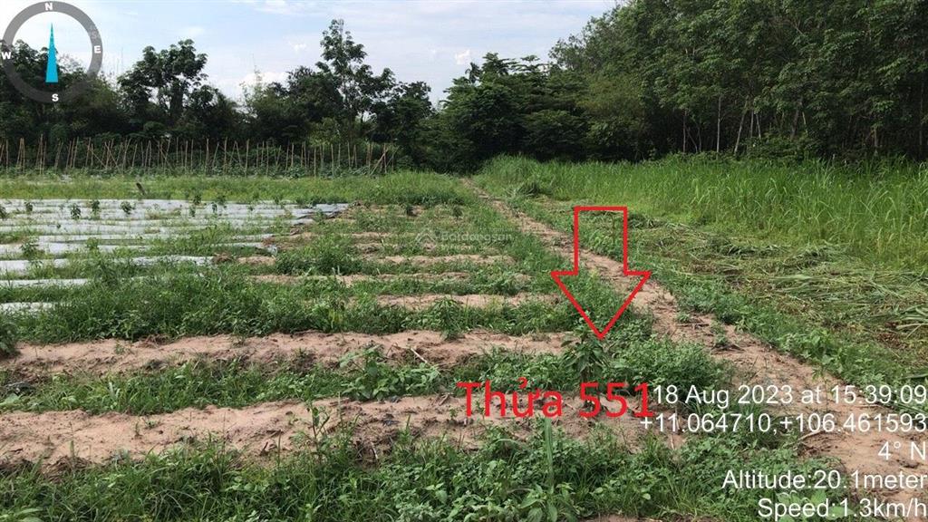 Bán đất thổ cư thửa 551 dt 364.4m2 tại phường an nhơn tây, tp hcm  02888050