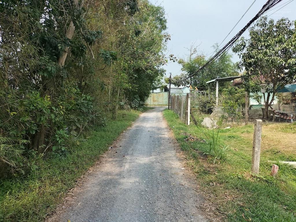 Ngân hàng bán trực tiếp 355m2 đất ont tại td167, xã tân phú, đức hòa, long an  01438394