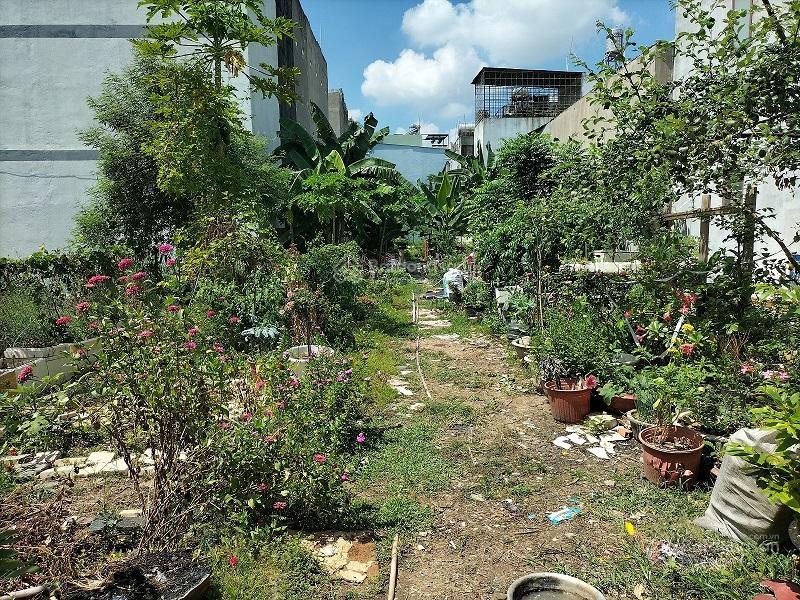 Bán đất full tc thửa 625 và 531 dt 608.8m2 tại hẻm 299, bình thành, phường bình tân, tp hcm