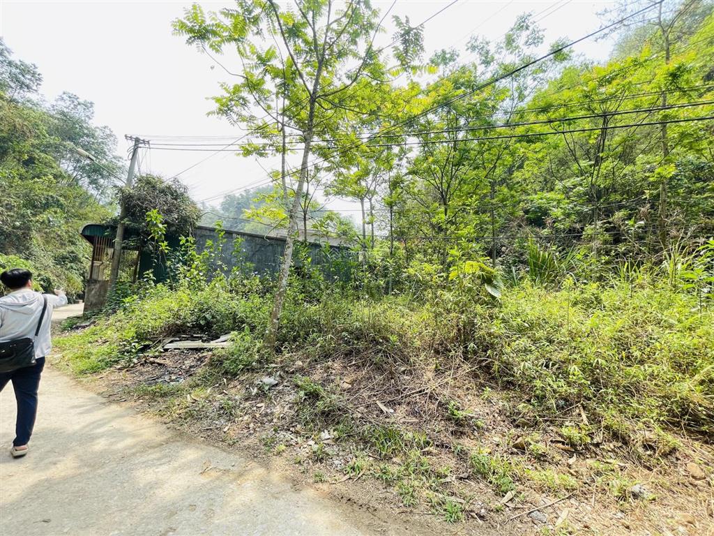 Ngân hàng thanh lý 226,9m² tại td37, tôn thất thuyết, tp hòa bình, hòa bình