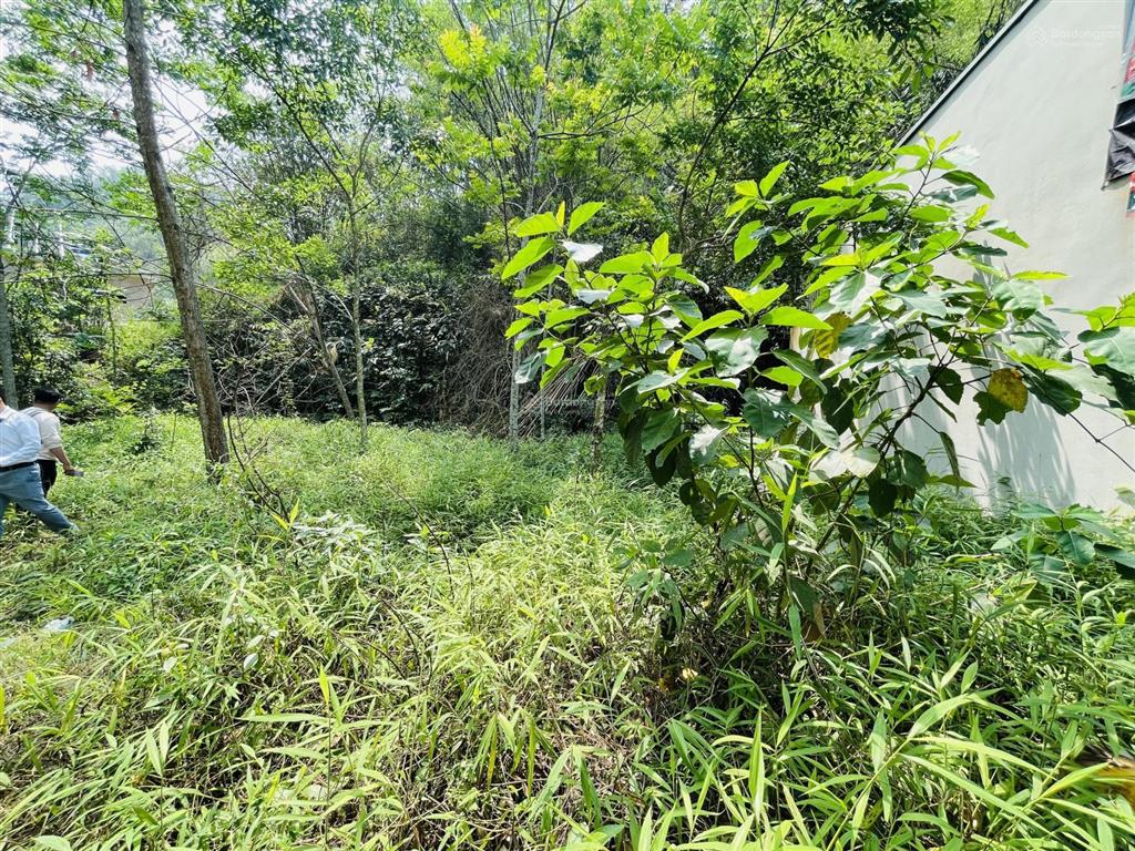 Ngân hàng thanh lý 226,9m² tại td37, tôn thất thuyết, tp hòa bình, hòa bình