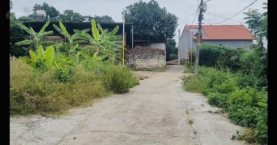 Ngân hàng thanh lý 93,1m2 đất phân lô thửa 189 xã châu phong, quế võ, bắc ninh  04012101