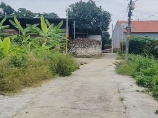 Ngân hàng thanh lý 93,1m2 đất phân lô thửa 189 xã phù lãng, bắc ninh (châu phong, quế võ cũ)