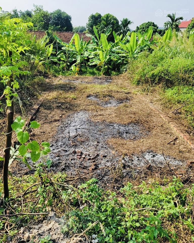 Ngân hàng thanh lý 93,1m2 đất phân lô thửa 189 xã châu phong, quế võ, bắc ninh  04012101