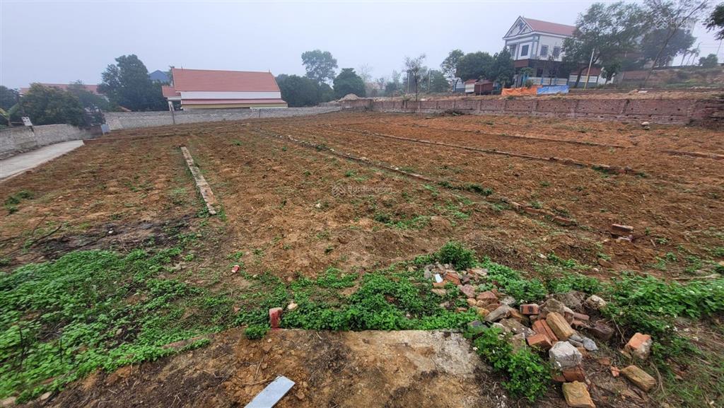 Bán 94,5m2 đất phân lô tại td214, xã phù lãng, bắc ninh (châu phong, quế võ cũ)  04221116
