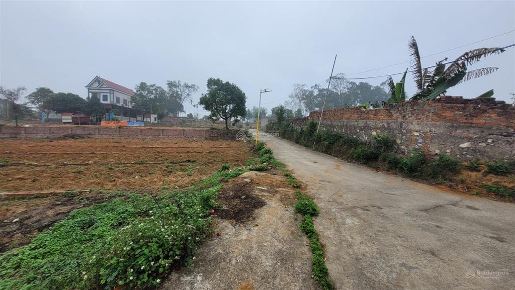 Bán 94,5m2 đất phân lô tại td214, xã phù lãng, bắc ninh (châu phong, quế võ cũ)  04221116