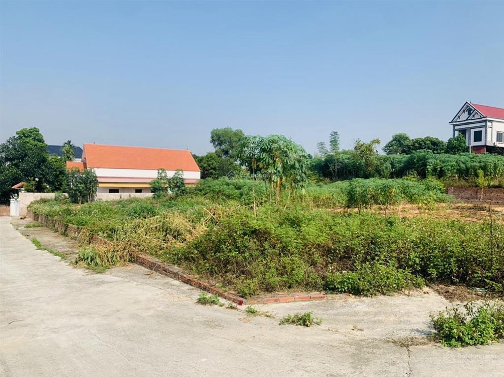 Bán 94,3m2 đất phân lô tại td216, xã phù lãng, bắc ninh (châu phong, quế võ cũ)  04120980