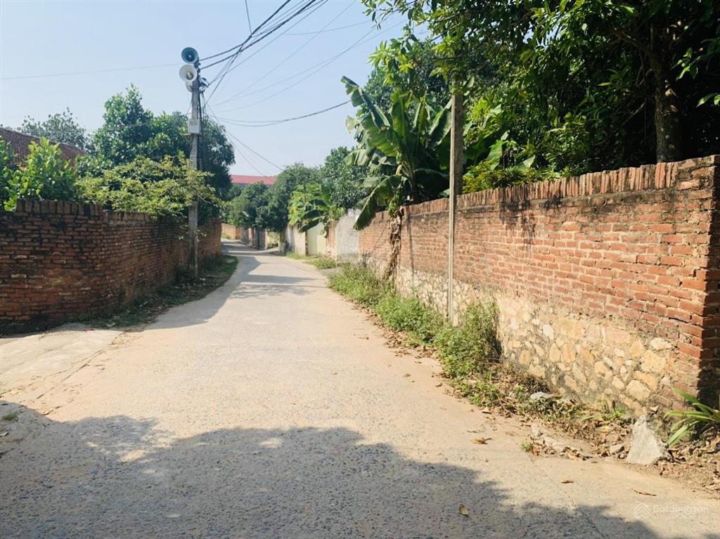 Bán 94,3m2 đất phân lô tại td216, xã phù lãng, bắc ninh (châu phong, quế võ cũ)  04120980