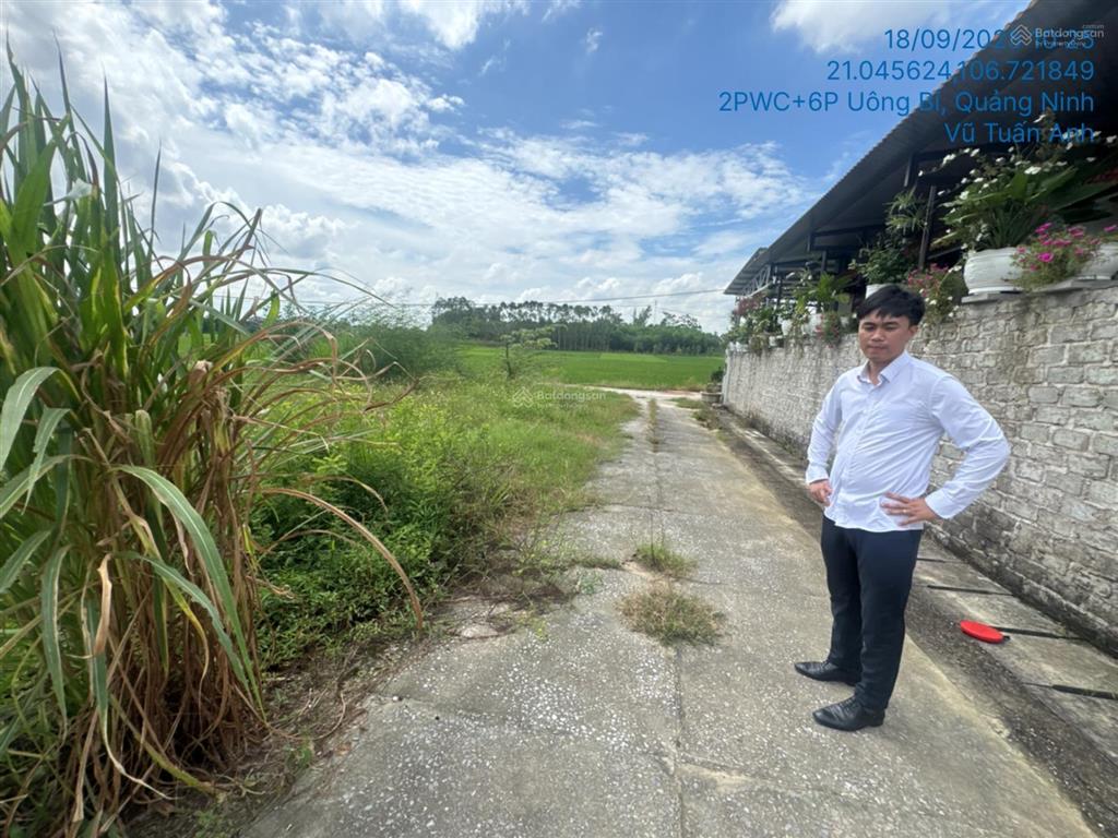 Ngân hàng thanh lý 133,5m2 đất tại td417, khu đồng minh, phương đông, uông bí, quảng ninh02643654