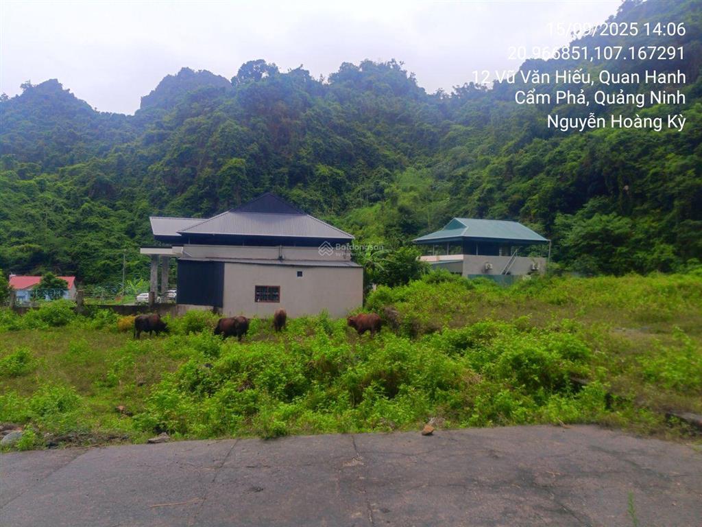 Ngân hàng thanh lý 105,2m2 đất tại td23, phường hà phong, thành phố hạ long, quảng ninh