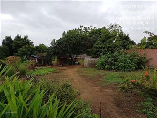 Ngân hàng thanh lý 566.9m2 tại thôn xuân bình, xã bình khê, đông triều, quảng ninh