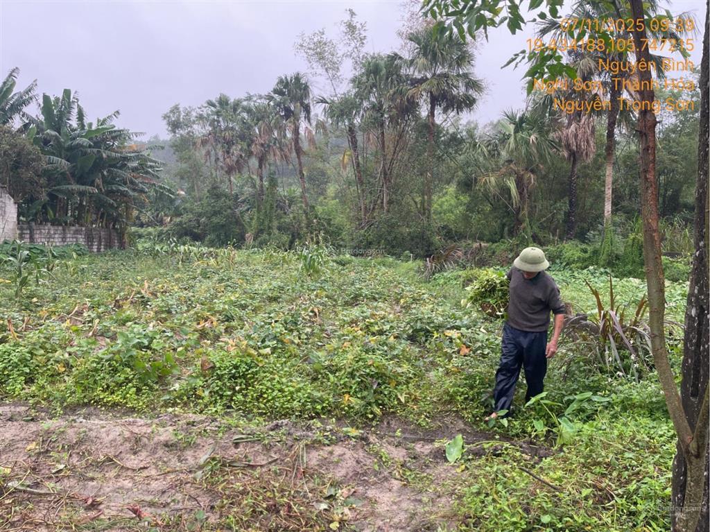 Bán thửa đất 382,9m2 tại td1099, tbd40, xuân nguyên, nguyên bình, nghi sơn, thanh hóa