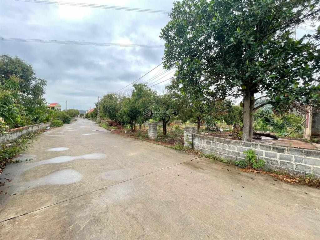 Ngân hàng thanh lý 415 m2 nhà riêng tại td404, hoàng hoa thám, chí linh, hải dương  00687449
