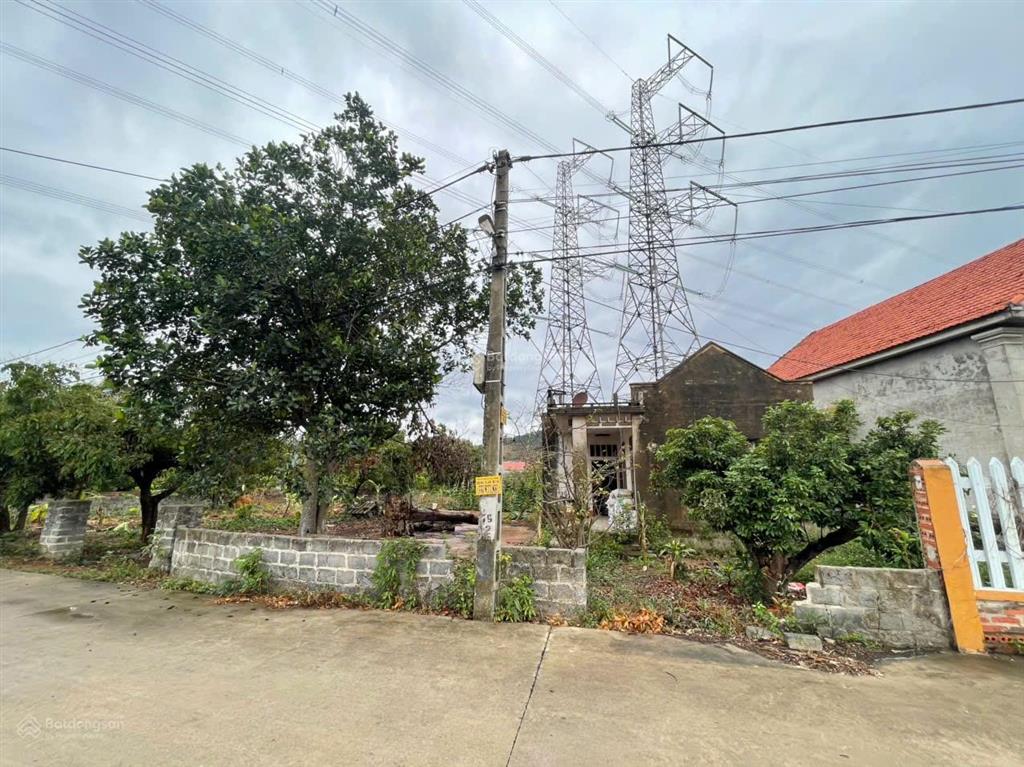 Ngân hàng thanh lý 415 m2 nhà riêng tại td404, hoàng hoa thám, chí linh, hải dương  00687449