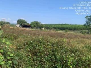 Ngân hàng thanh lý lô đất 5010.8m2 tại xã tân thắng  quỳnh lưu  nghệ an