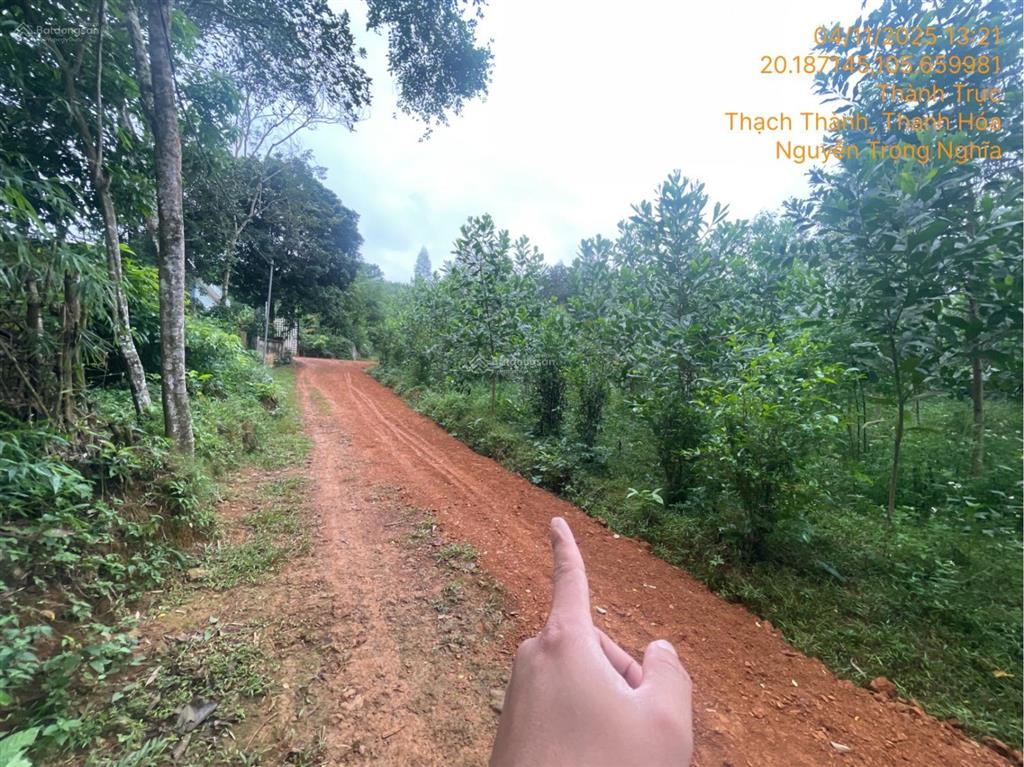 Ngân hàng bán trực tiếp 1283m2 đất tại thành trực, thạch thành, thanh hóa 03885349