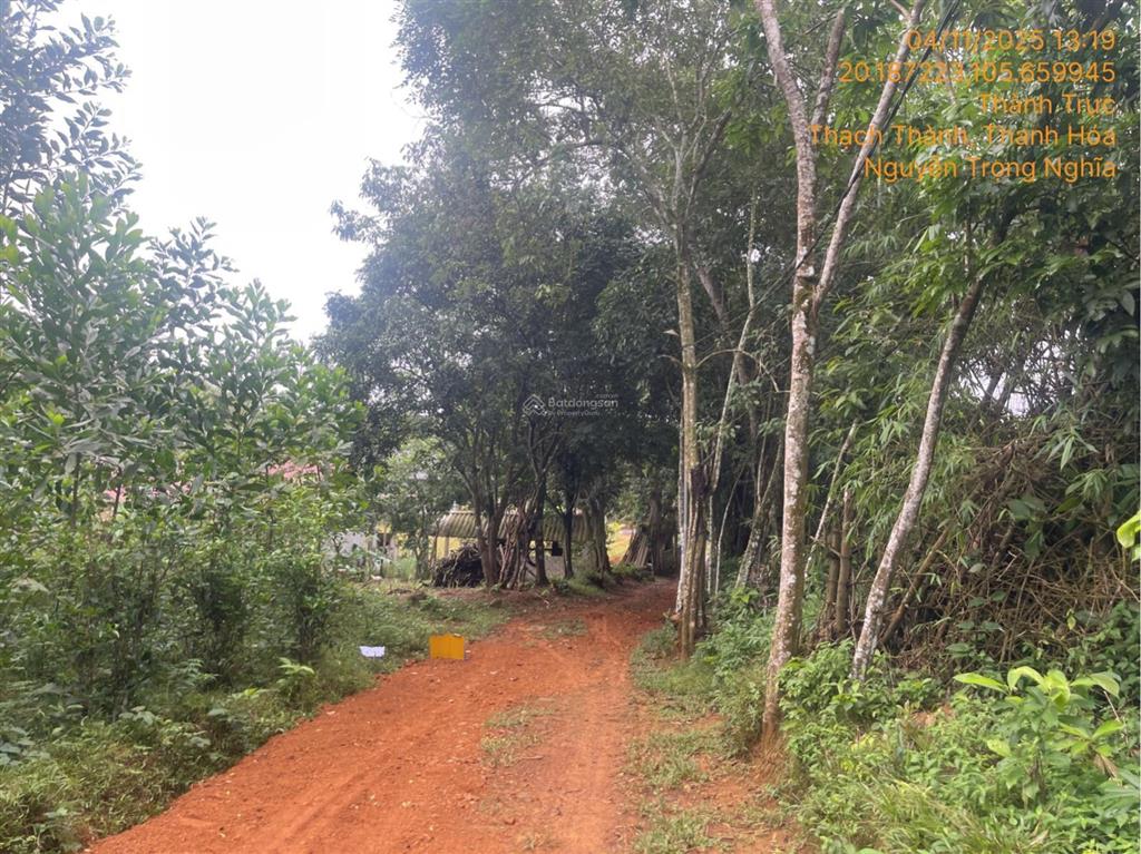 Ngân hàng bán trực tiếp 1283m2 đất tại thành trực, thạch thành, thanh hóa 03885349