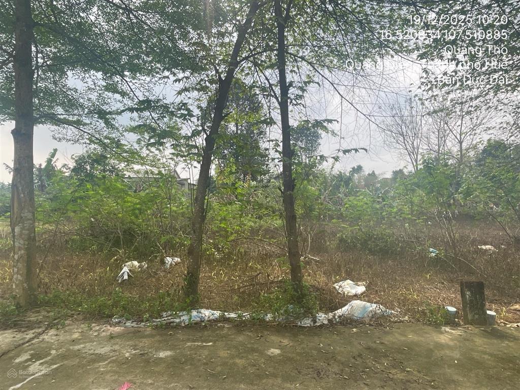 Thanh lý 103,1m2 đất tại td760, thôn phước yên, xã quảng điền, tỉnh thừa thiên huế  03569664