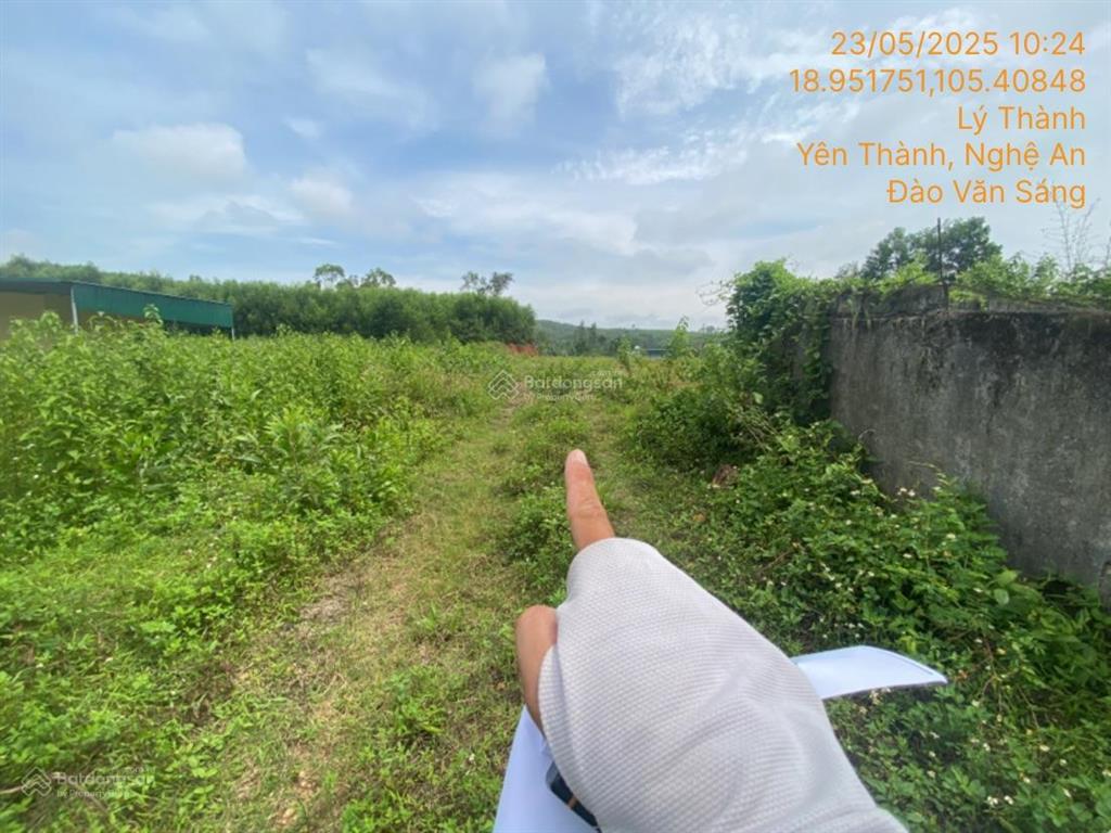 Bán 1.327m2 đất tại td899, xã lý thành (xóm 12 xã liên thành), yên thành, nghệ an  03873401