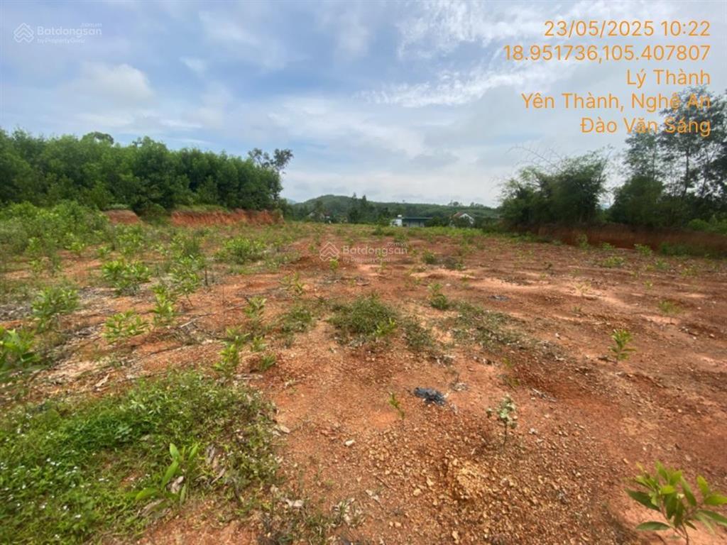 Bán 1.327m2 đất tại td899, xã lý thành (xóm 12 xã liên thành), yên thành, nghệ an  03873401