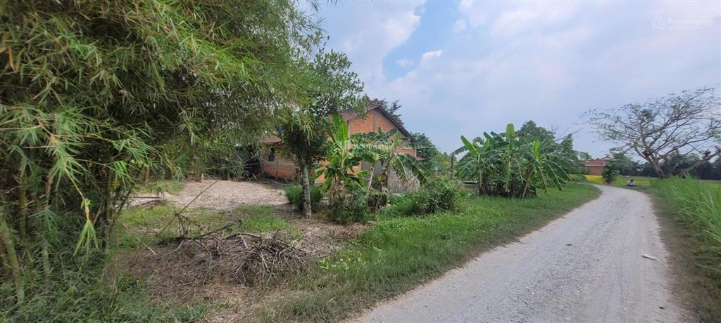 Thửa đất số 625, tờ bản đồ số 14, ấp bàu trai thượng, xã tân phú, huyện đức hòa  02633905